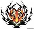 /album/aerografia/tribal-tigre-jpg/